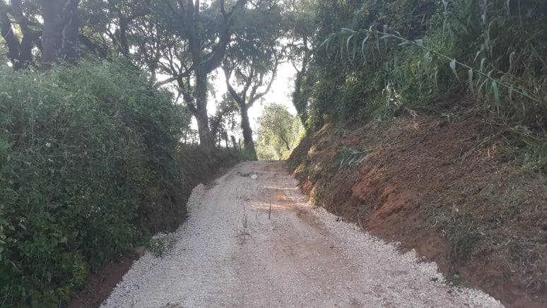 caminhopias 5 23