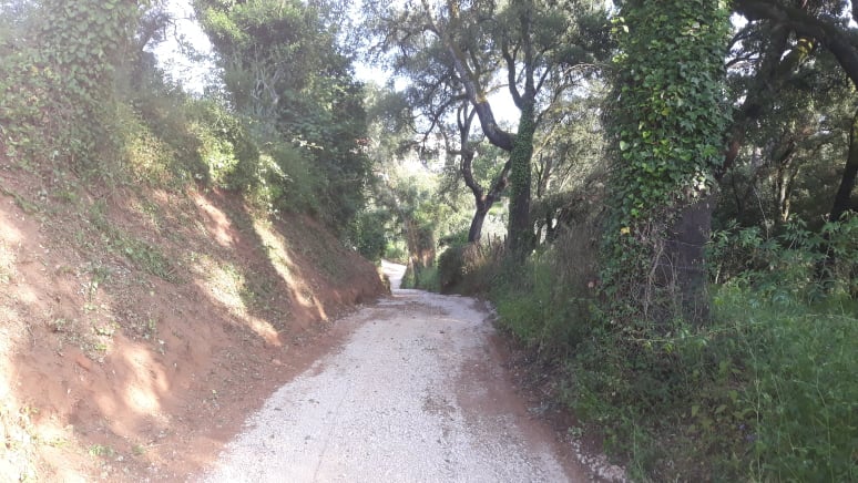 caminhopias 5 3