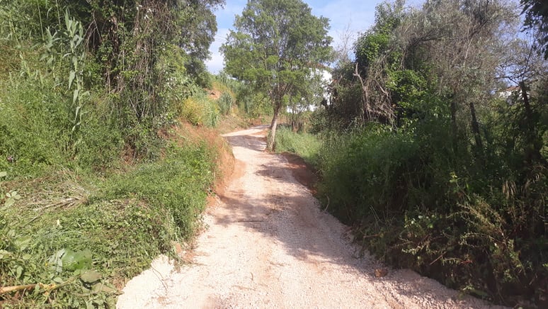 caminhopias 5 4