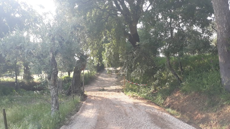 caminhopias 5 5