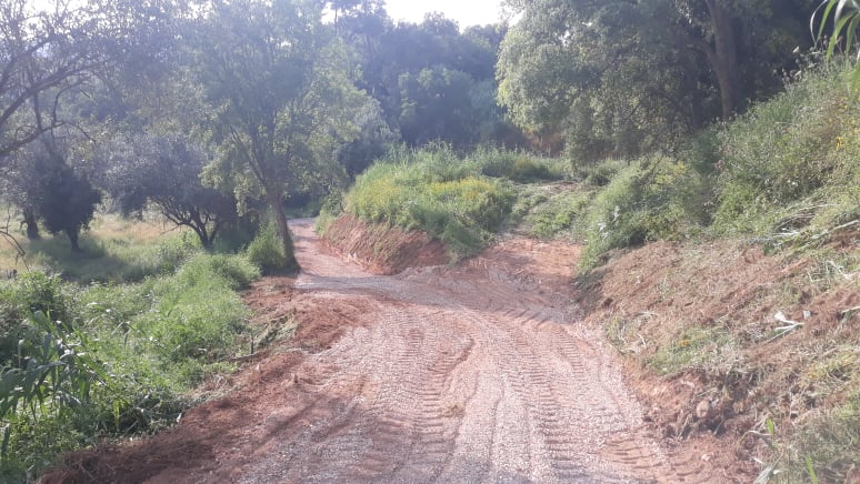caminhopias 5 8