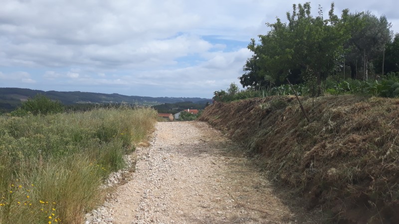 caminhosemnome 6