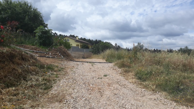 caminhosemnome 7