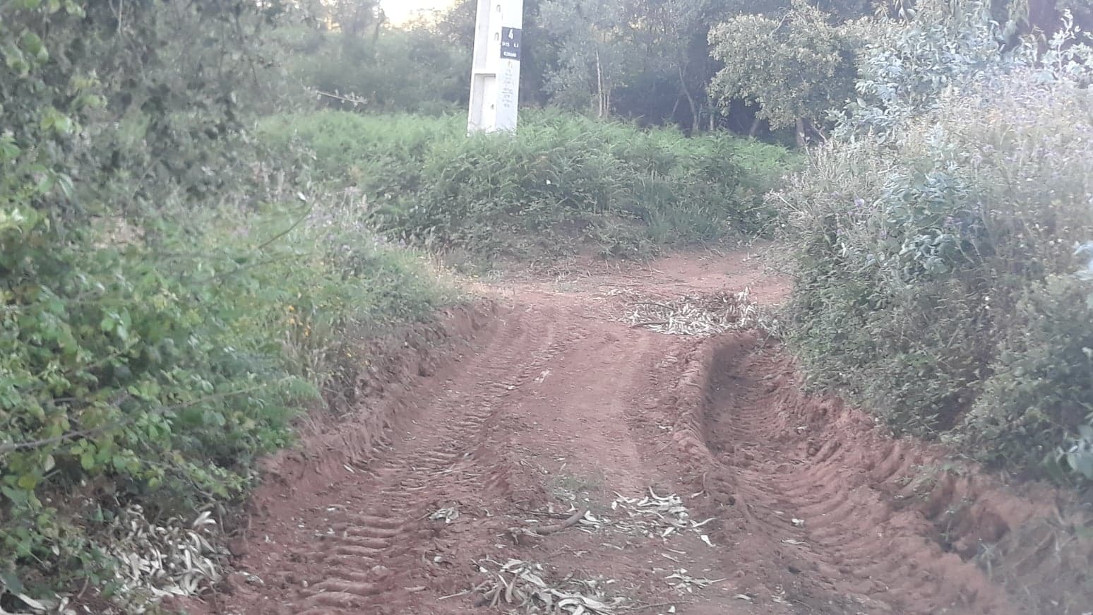 coito 14