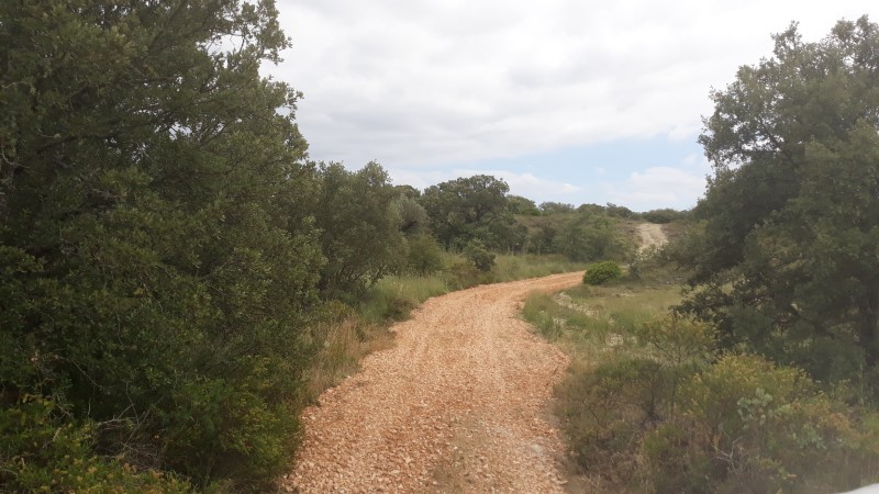rabeja 1