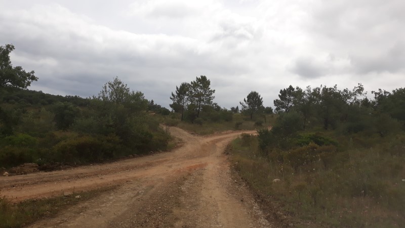 rabeja 14