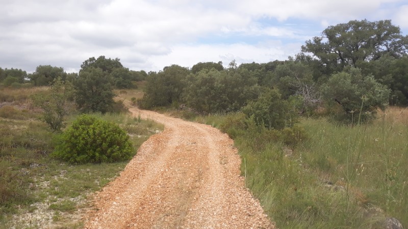 rabeja 2