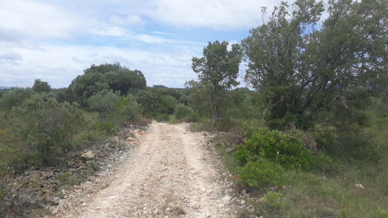 rabeja 3