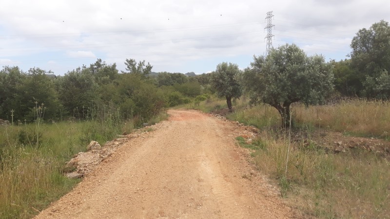 rabeja 33