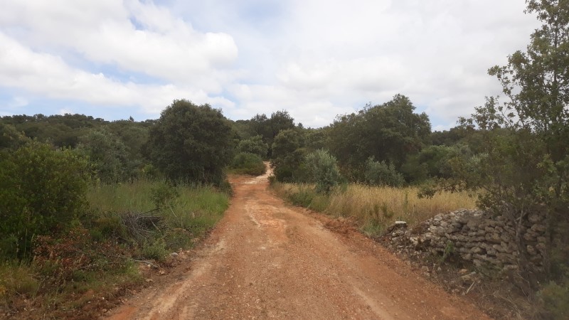 rabeja 38