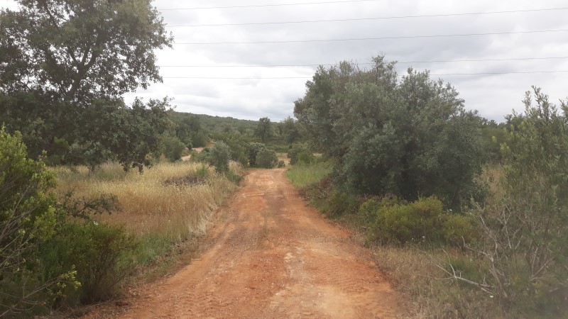 rabeja 39