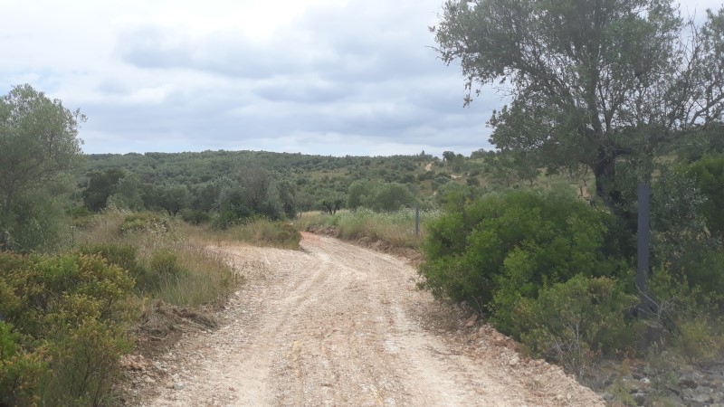 rabeja 4