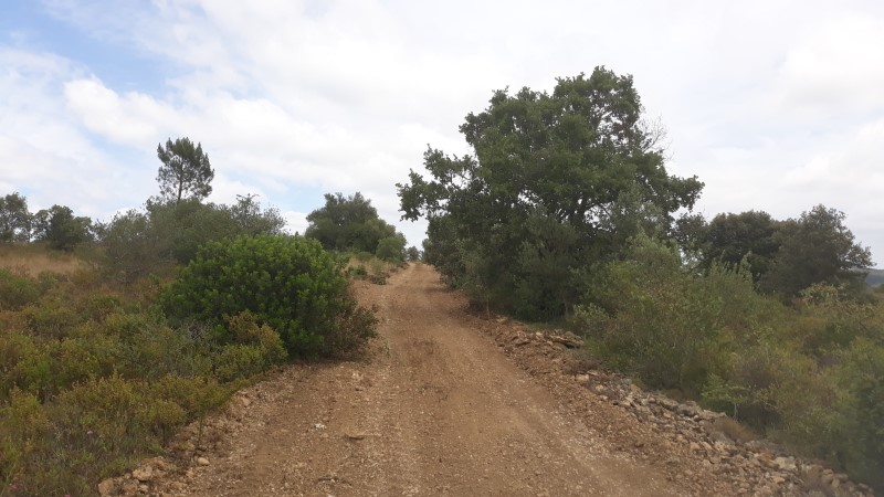 rabeja 41