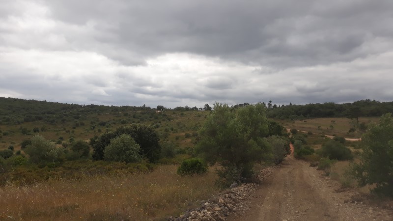 rabeja 42