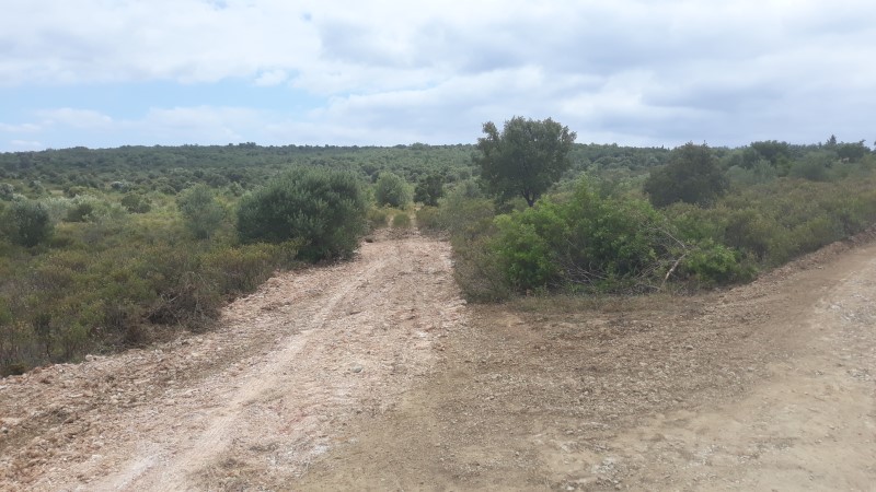 rabeja 8