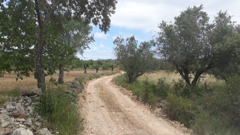 rabeja 9