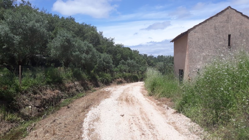 rfpedra 11