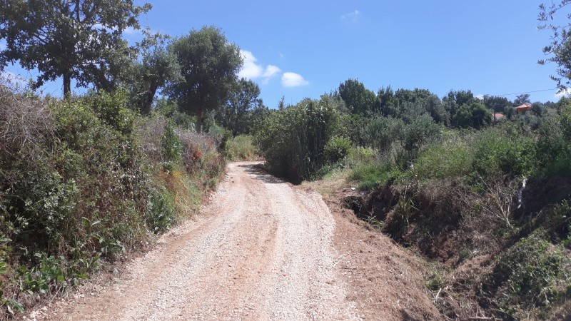 rfpedra 15