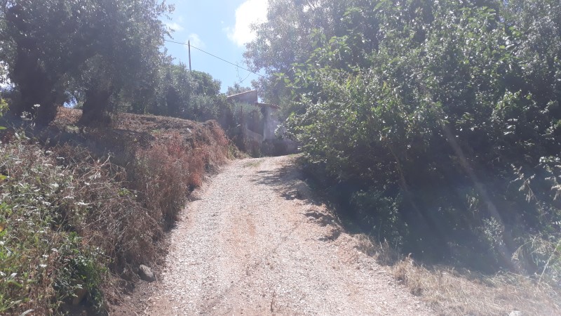 rfpedra 2