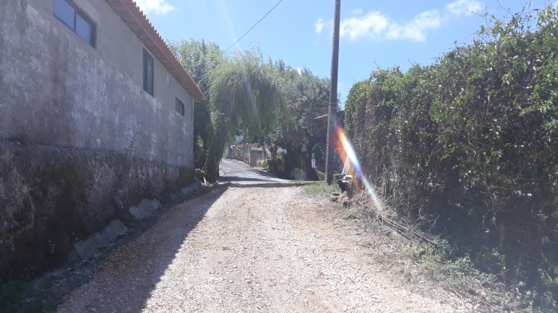 rfpedra 3