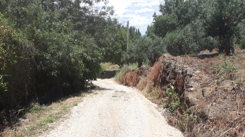 rfpedra 4