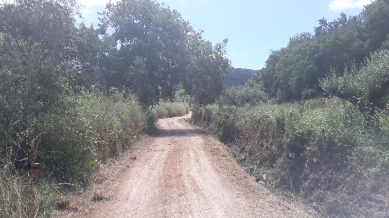 rfpedra 5