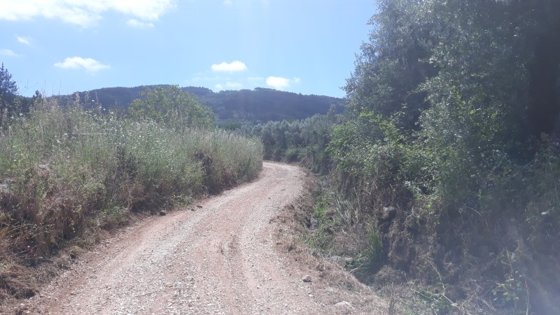 rfpedra 6