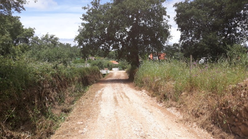rfpedra 7