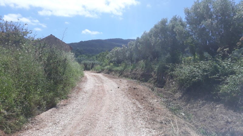 rfpedra 8