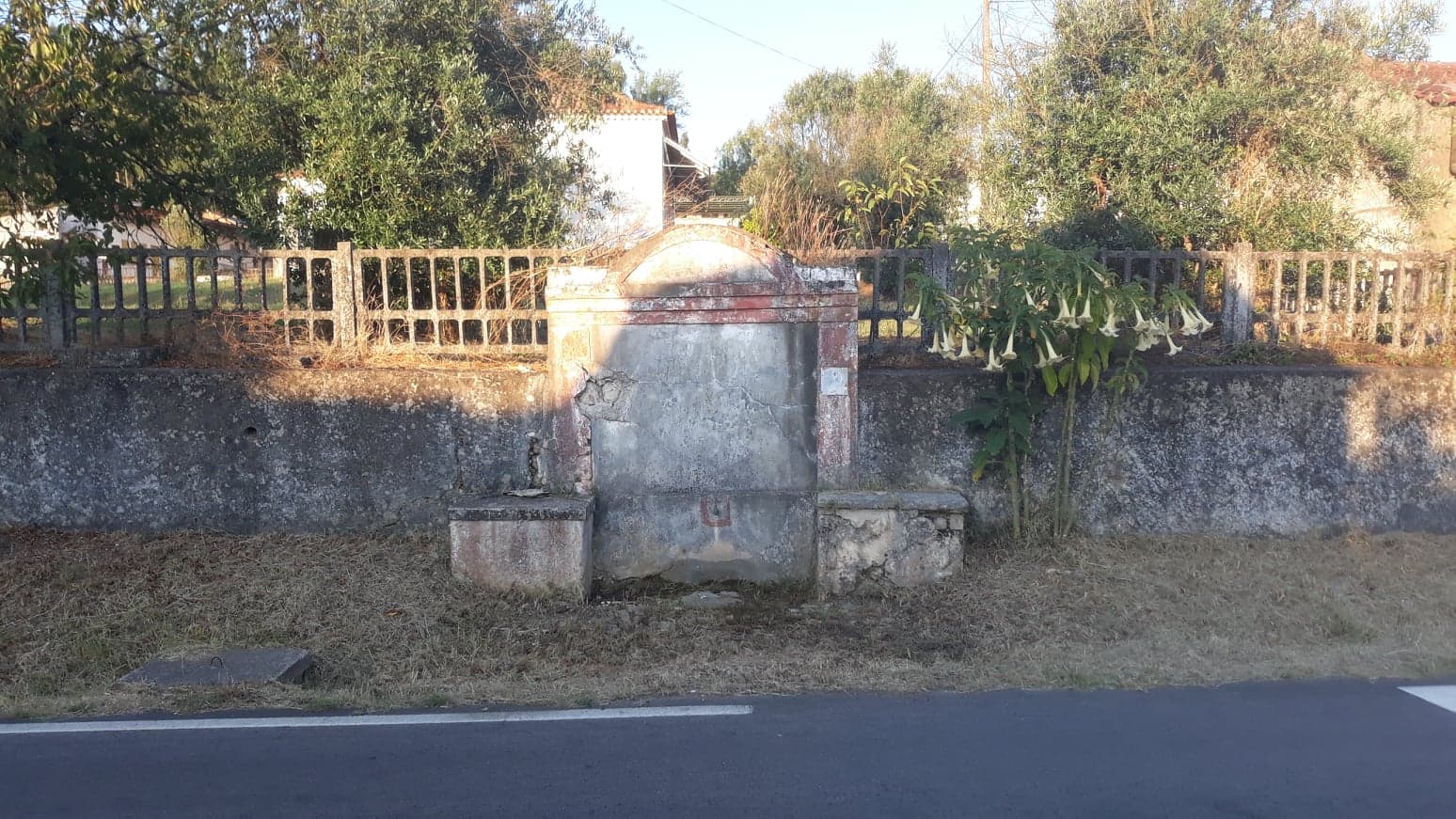fpereiro 12
