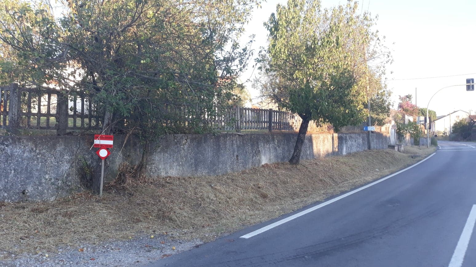 fpereiro 13