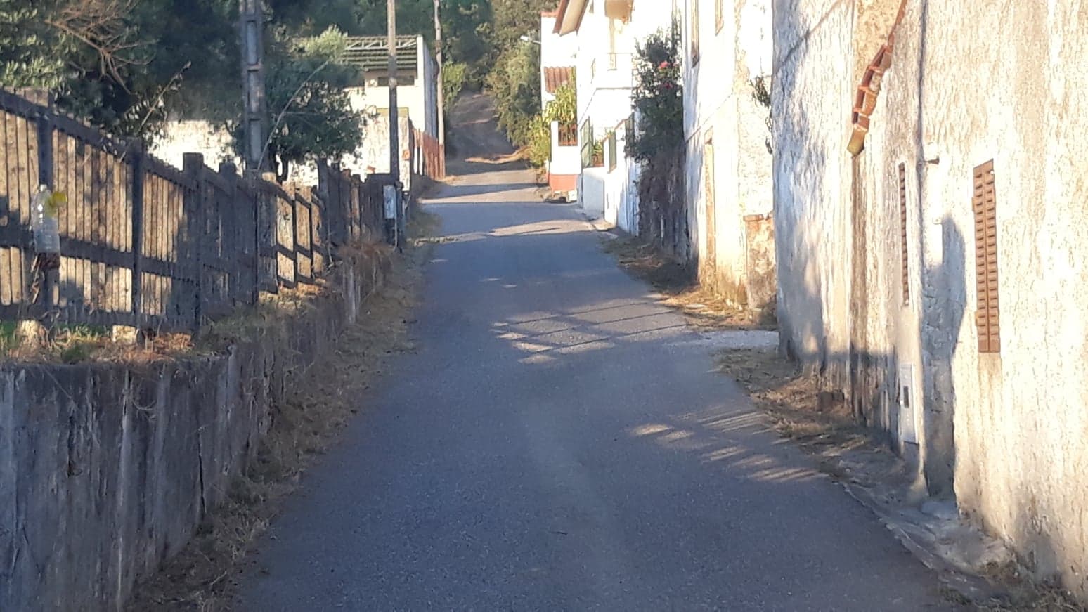 fpereiro 14