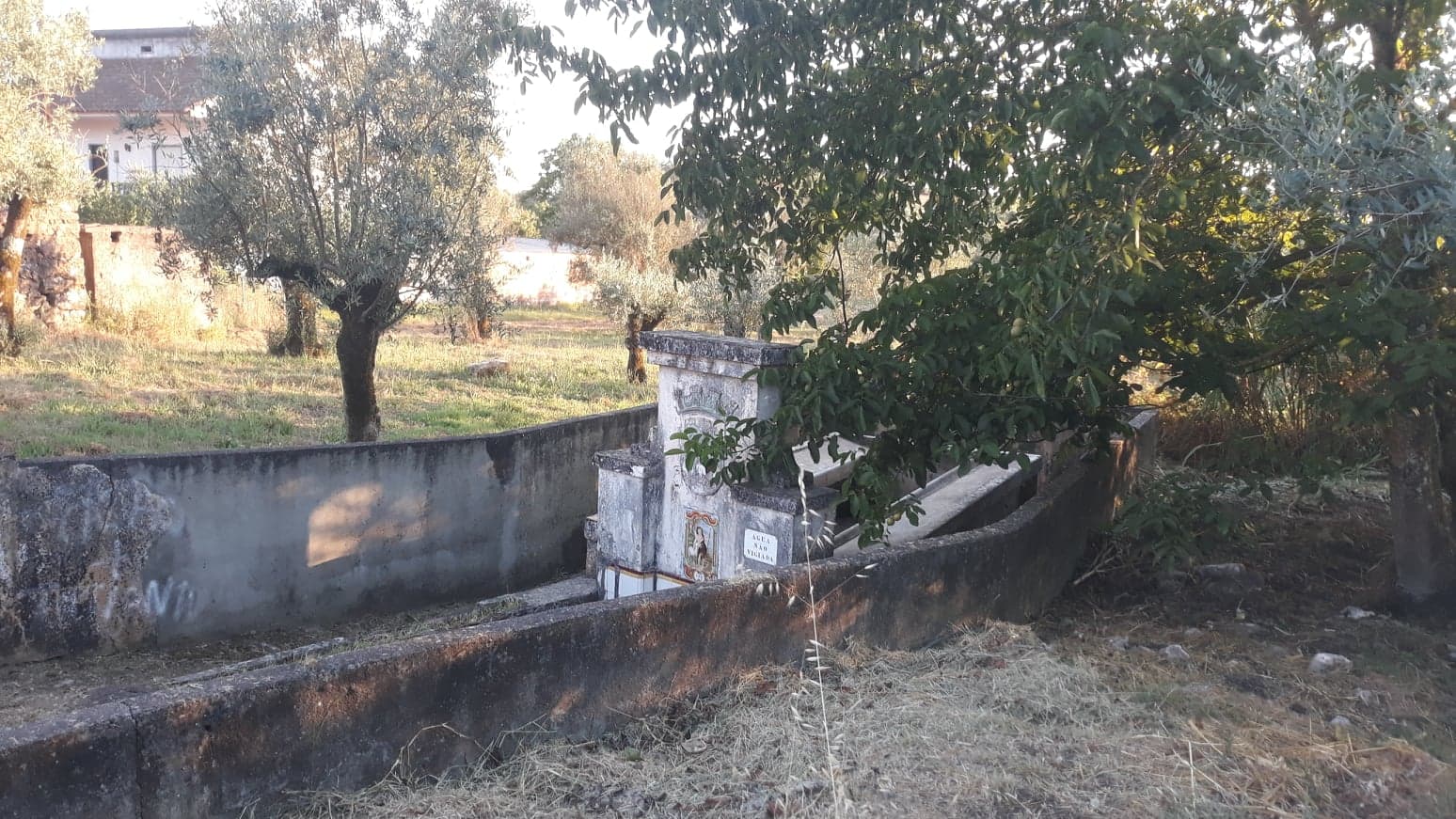 fpereiro 3