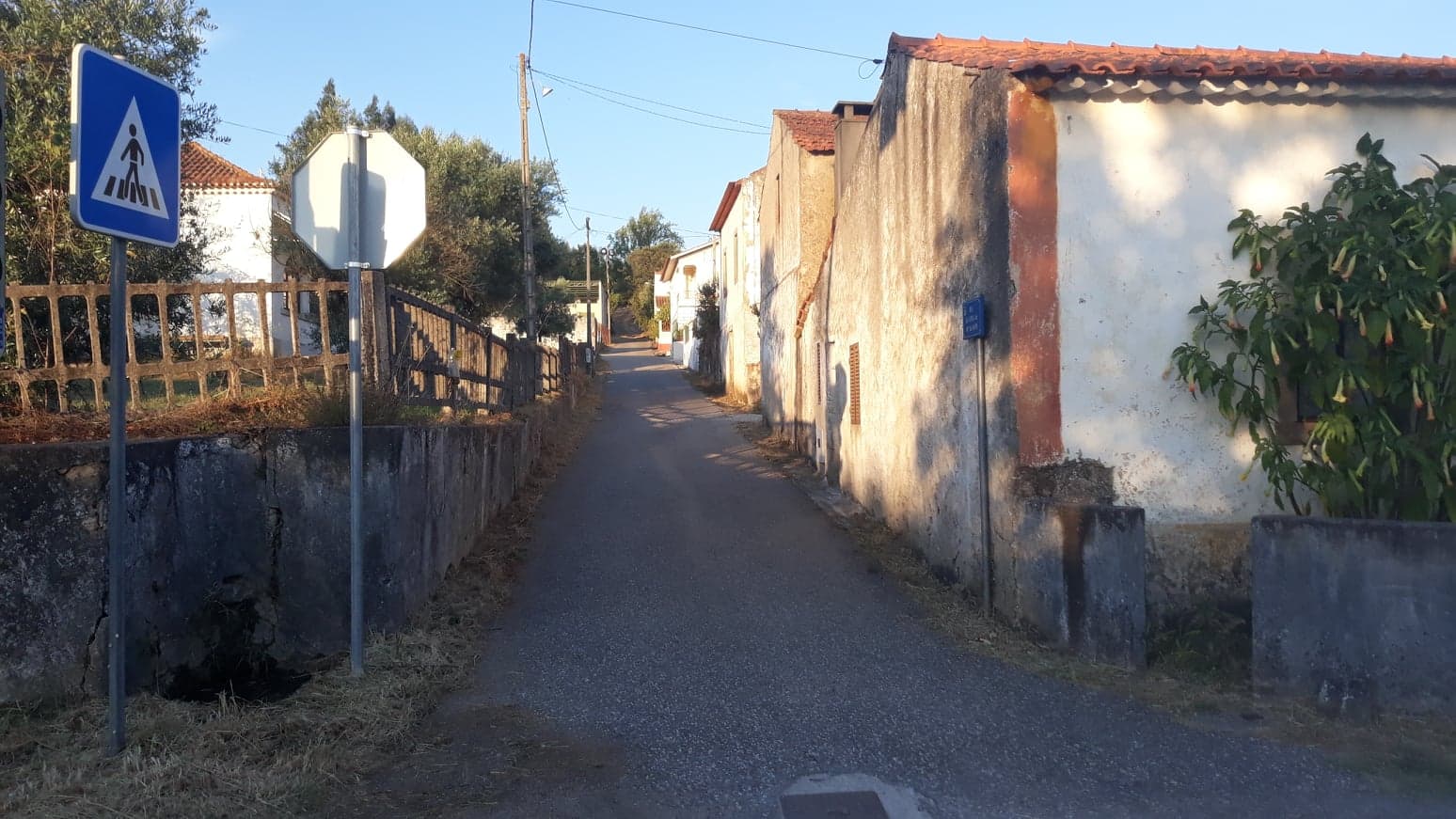 fpereiro 4