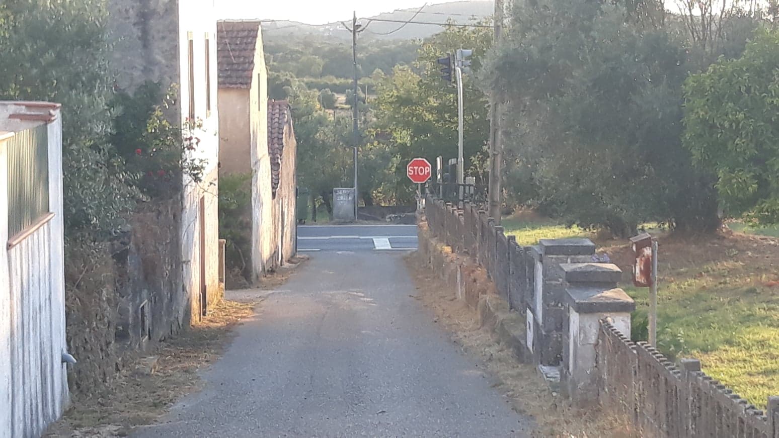 fpereiro 6