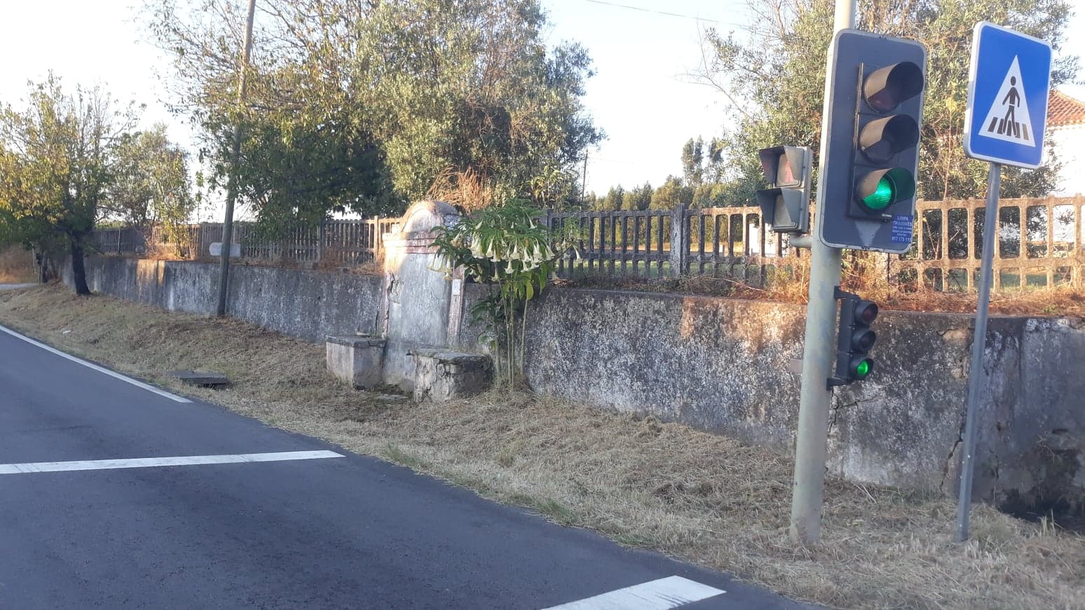 fpereiro 8