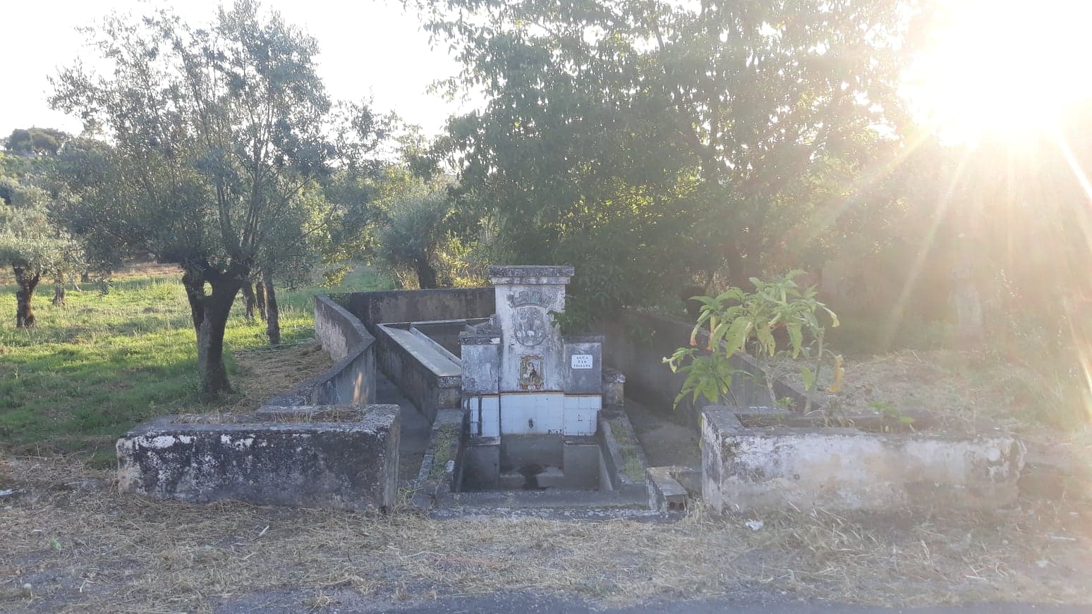 fpereiro 9