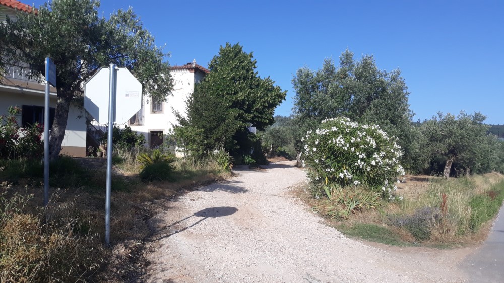 travessasapolonia 2