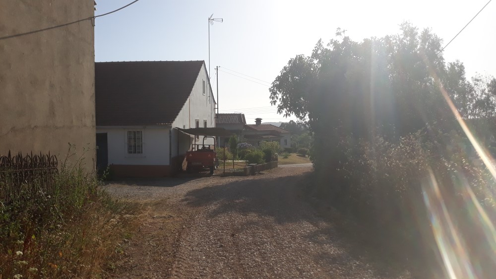 rscristovão 5