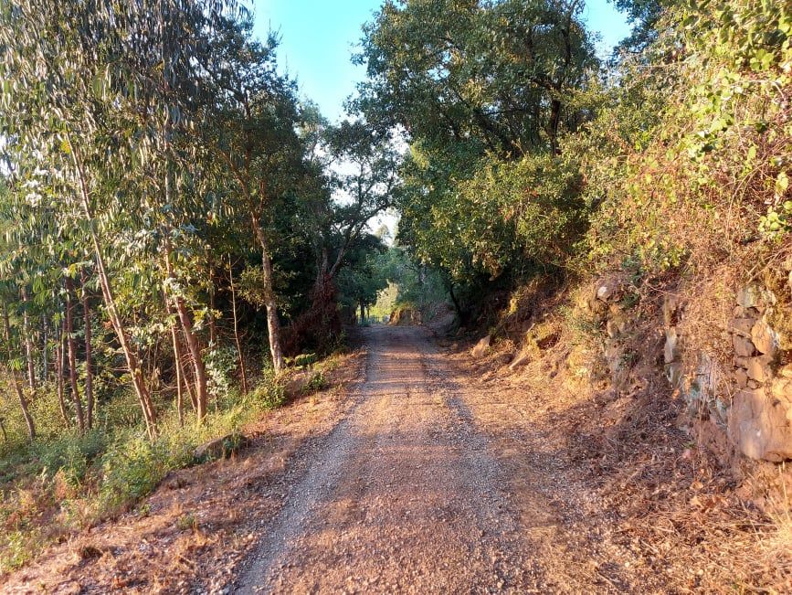 ruadocasal 16