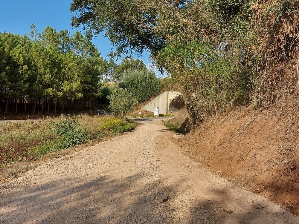 balouco 1
