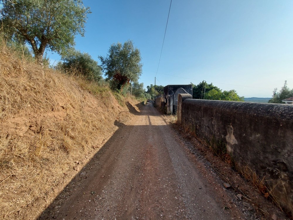 balouco 11