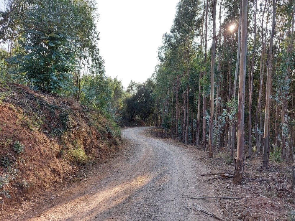 balouco 12