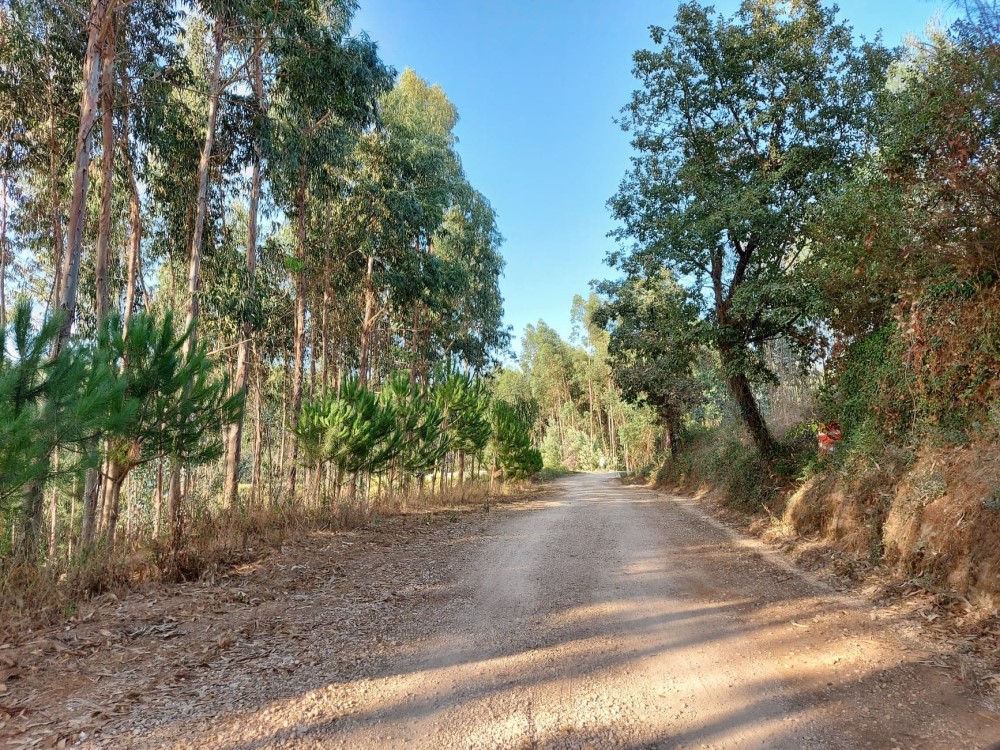 balouco 2