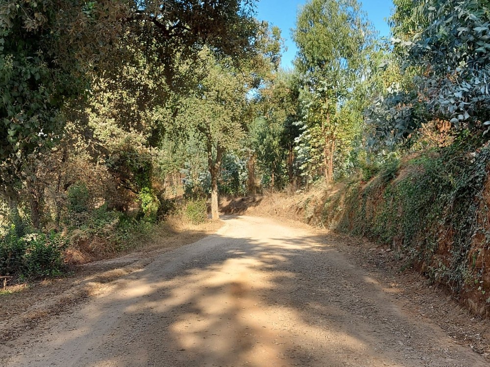 balouco 4