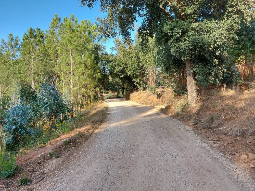 balouco 6