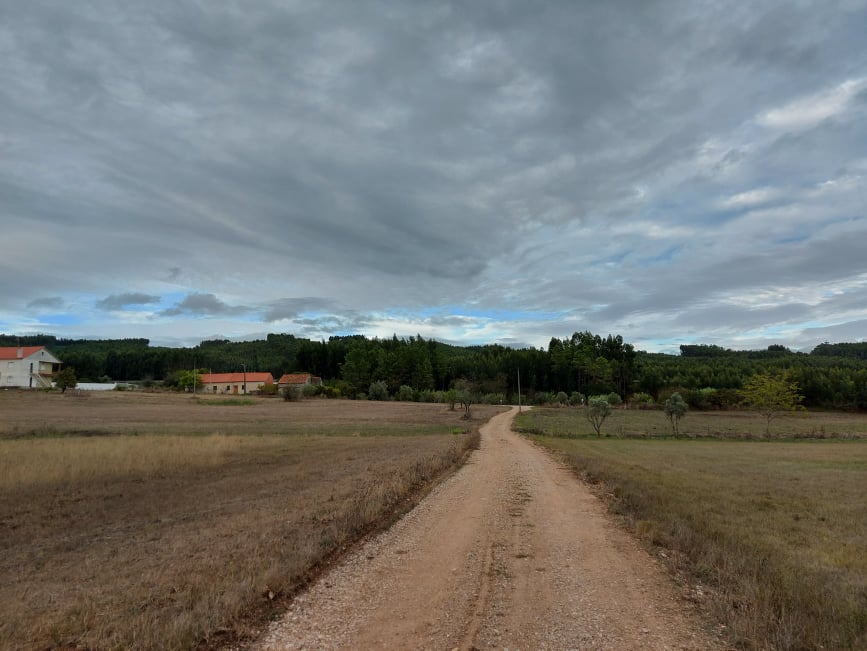 meneixas 1