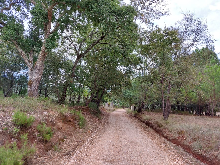meneixas 16