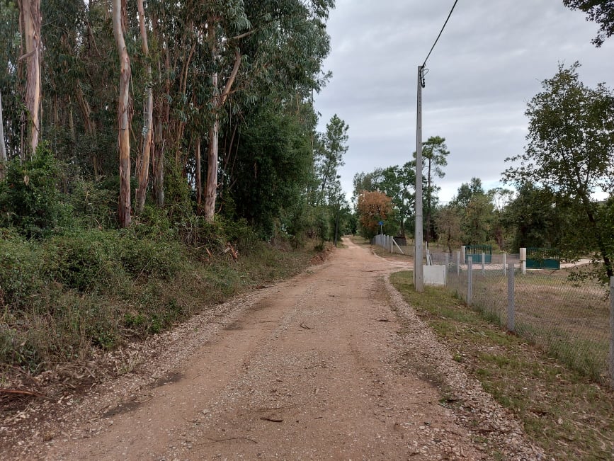 meneixas 17