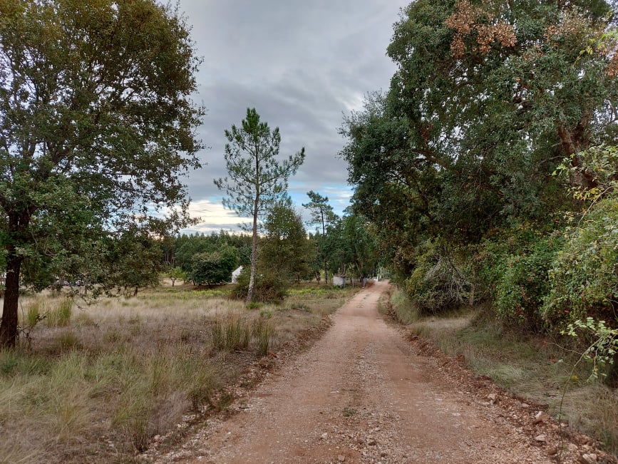 meneixas 21